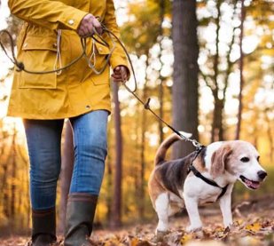 PASEO Y SEGURIDAD